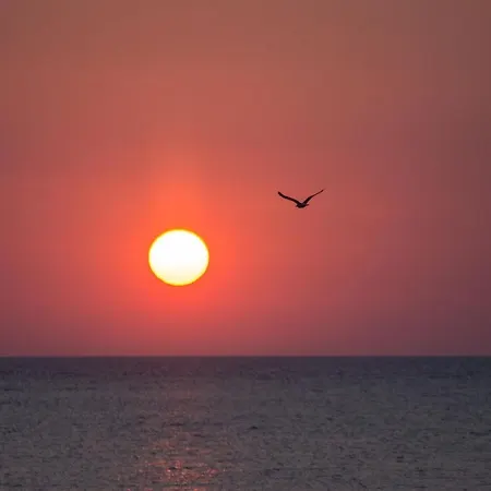 Aktaia * Skyros
